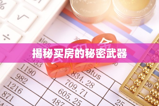 宿州揭秘买房的秘密武器