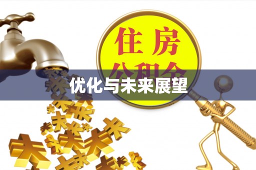 宿州优化与未来展望